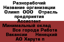 Разнорабочий › Название организации ­ Олимп, ООО › Отрасль предприятия ­ Ассистент › Минимальный оклад ­ 25 000 - Все города Работа » Вакансии   . Ненецкий АО,Харута п.